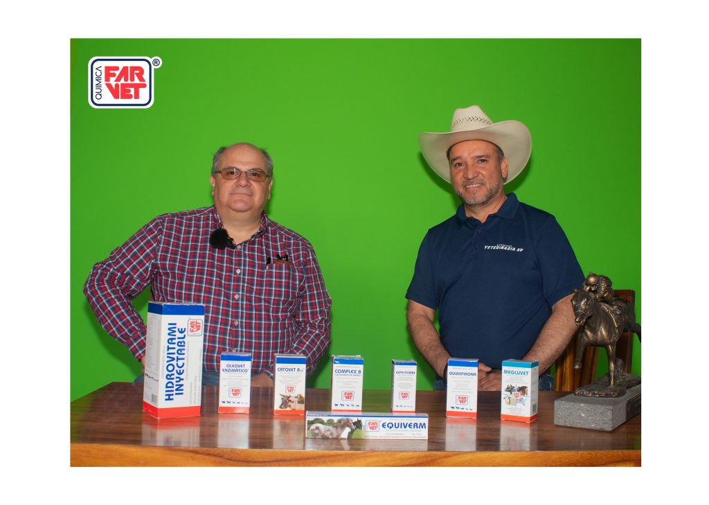 548285233_1087273460054002_7314426537277361946_n