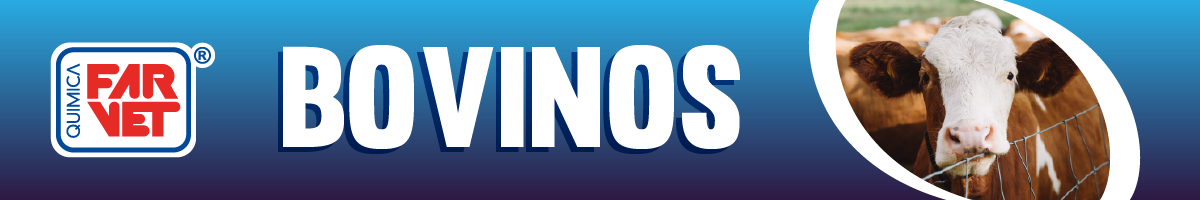 banners-bovinos-2021_qf